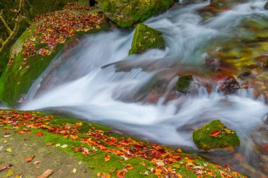 Shennongjia, Hubei, Çin 'deki Muyu Xiangxiyuan sonbahar manzarası