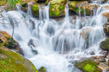 Shennongjia, Hubei, Çin 'deki Muyu Xiangxiyuan sonbahar manzarası