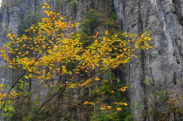 Paysage Automne Jianshiye Trois Gorges Enshi Hubei Chine — Photo