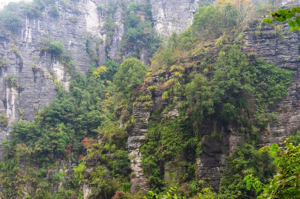 Podzimní Scenérie Jianshiye Tři Soutěsky Scénická Oblast Enshi Hubei Čína — Stock fotografie