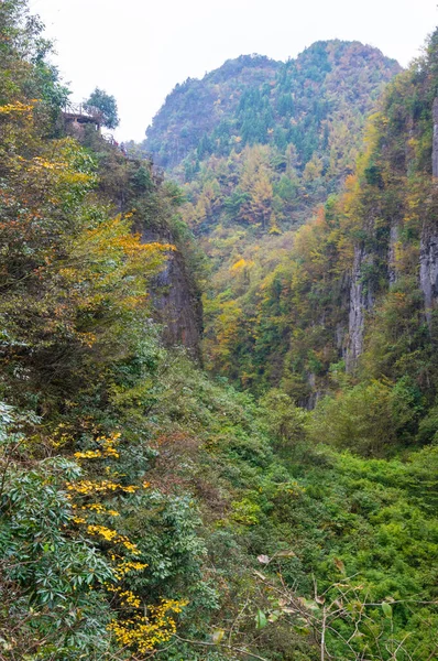 Cenário Outono Enshi Grand Canyon Scenic Area Hubei China — Fotografia de Stock