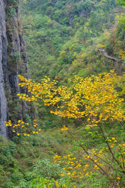 Cenário Outono Enshi Grand Canyon Scenic Area Hubei China — Fotografia de Stock