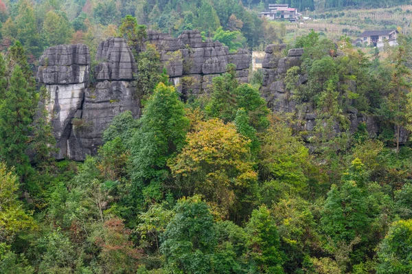 Enshi Suobuya Stone Forest Scenic Area Hubei Chiny — Zdjęcie stockowe