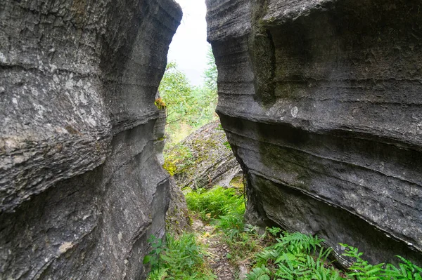 Enshi Suobuya Stone Forest Scenic Area Hubei China — 스톡 사진