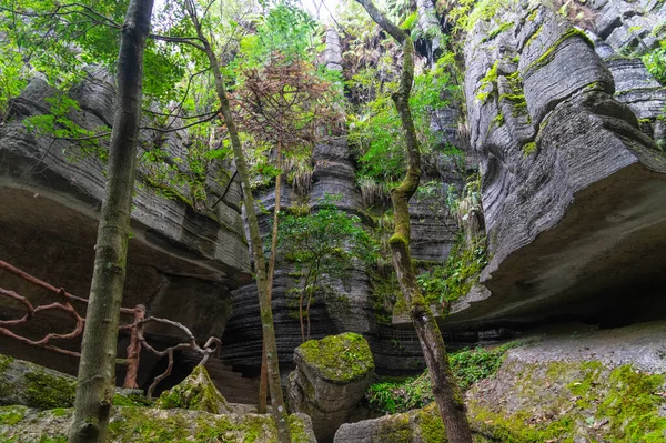 Área Escénica Del Bosque Piedra Enshi Suobuya Hubei China —  Fotos de Stock