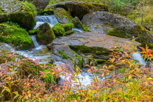 Осенний Пейзаж Мую Сянсюань Шэньунцзя Хубэй Китай — стоковое фото