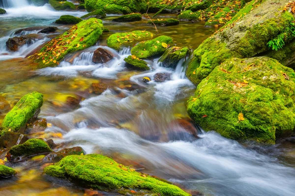 Autumn Scenery Muyu Xiangxiyuan Shennongjia Hubei China — Stock Photo, Image