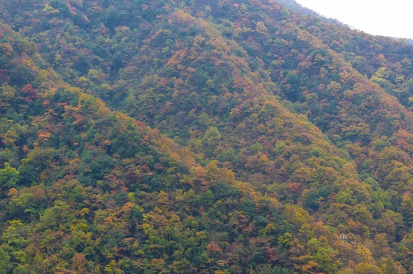 Осенний Пейзаж Мую Сянсюань Шэньунцзя Хубэй Китай — стоковое фото