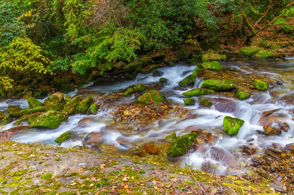 Herbstlandschaft Von Muyu Xiangxiyuan Shennongjia Hubei China — Stockfoto