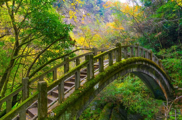 Autumn scenery of Muyu Xiangxiyuan in Shennongjia, Hubei, China