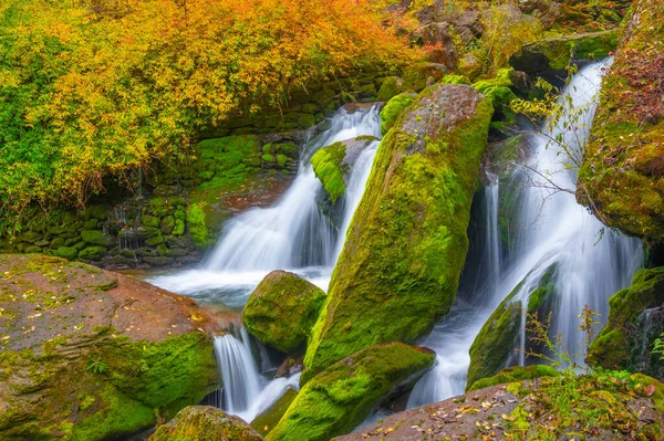 Herbstlandschaft Von Muyu Xiangxiyuan Shennongjia Hubei China — Stockfoto