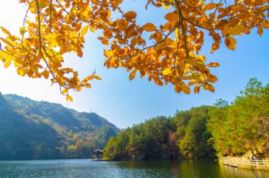 Geç, sonbahar, manzara, Qingliangzhai, Scenic, Area, in, Wuhan, Hubei