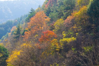 Geç, sonbahar, manzara, Qingliangzhai, Scenic, Area, in, Wuhan, Hubei