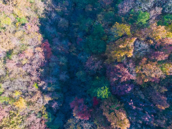 Αργά Φθινόπωρο Τοπίο Του Qingliangzhai Σκηνικό Περιοχή Wuhan Hubei — Φωτογραφία Αρχείου