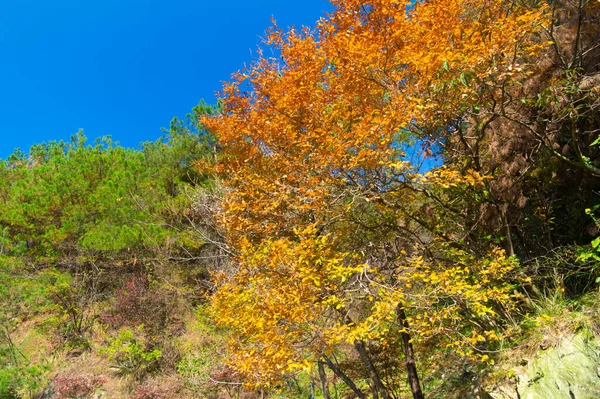 Tarde Otoño Paisajes Qingliangzhai Escénico Área Wuhan Hubei — Foto de Stock