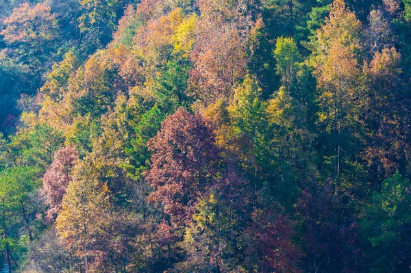 Поздняя Осень Пейзаж Цинлянджай Сцена Район Фахань Хуанхэ — стоковое фото