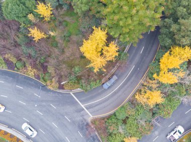 Wuhan şehrinin ilk kış manzarası, Hubei, Çin