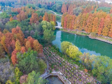 Hubei Wuhan Özgürlük Parkı Sonbaharın sonlarında hava manzarası