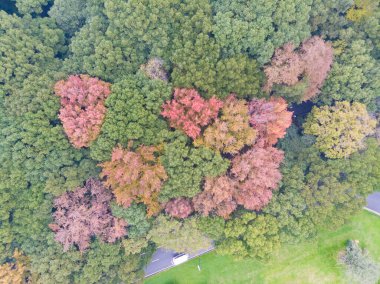 Hubei Wuhan Doğu Gölü Sahne Sonbahar Hava Fotoğrafçılık Bölgesi