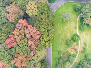 Hubei Wuhan Doğu Gölü Sahne Sonbahar Hava Fotoğrafçılık Bölgesi