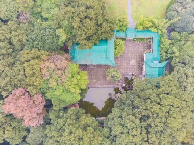 Hubei Wuhan Doğu Gölü Sahne Sonbahar Hava Fotoğrafçılık Bölgesi