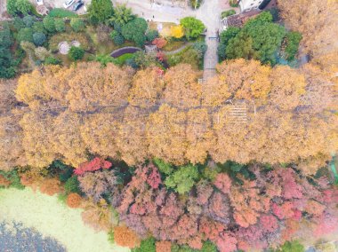 Hubei Wuhan Doğu Gölü Sahne Sonbahar Hava Fotoğrafçılık Bölgesi