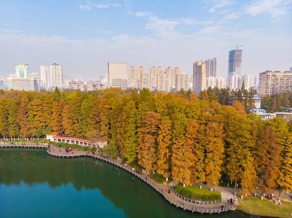 Parque Liberación Hubei Wuhan Finales Otoño Paisaje Aéreo — Foto de Stock