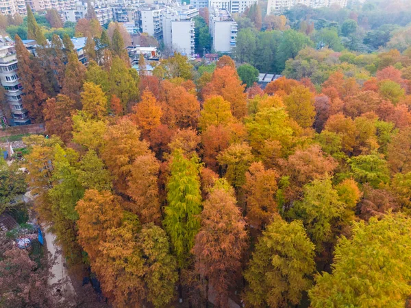 Parque Liberación Hubei Wuhan Finales Otoño Paisaje Aéreo —  Fotos de Stock