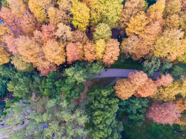 Hubei Wuhan Απελευθέρωση Πάρκο Αργά Φθινόπωρο Εναέρια Τοπίο — Φωτογραφία Αρχείου