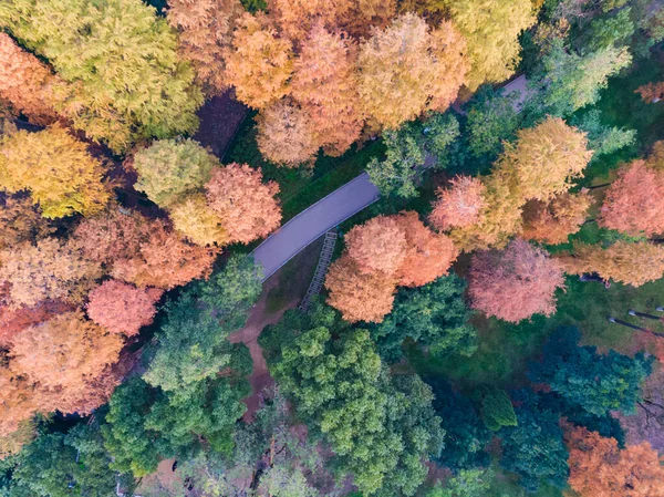 湖北省武漢解放公園晩秋の空中風景 — ストック写真