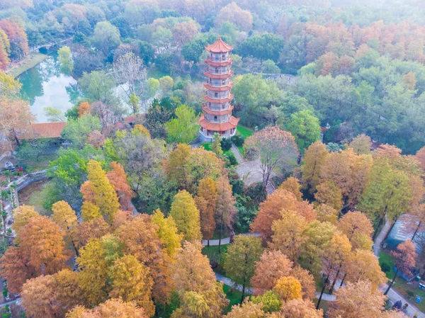 Parque Liberación Hubei Wuhan Finales Otoño Paisaje Aéreo — Foto de Stock