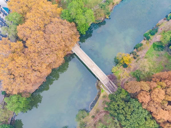 Hubei Wuhan Zhongshan Park Τέλη Φθινοπώρου Εναέρια Τοπίο — Φωτογραφία Αρχείου