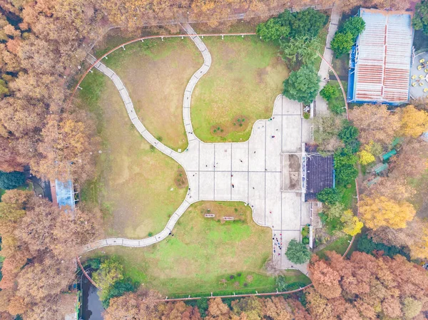 Hubei Wuhan Zhongshan Park Cenário Aéreo Final Outono — Fotografia de Stock