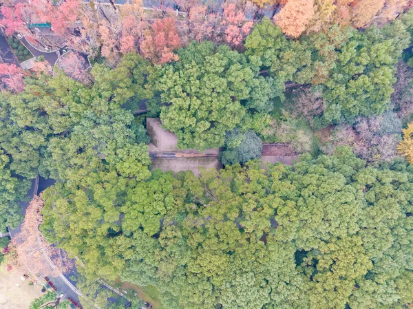 Hubei Wuhan East Lake Paysage Photographie Aérienne Automne Tard — Photo