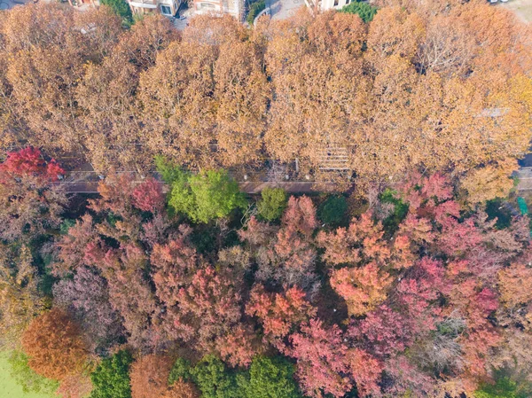 Hubei Wuhan East Lake Scenic Area Późna Jesień Fotografia Lotnicza — Zdjęcie stockowe