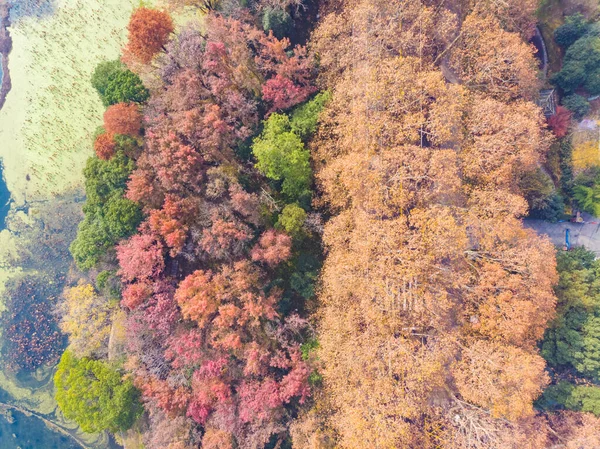Hubei Wuhan East Lake Scenic Area Late Autumn Aerial Photography — Stock Photo, Image