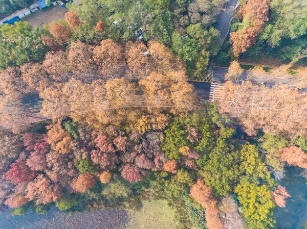 Hubei Wuhan Східне Озеро Мальовничий Район Пізньої Осені Аерофотозйомки — стокове фото