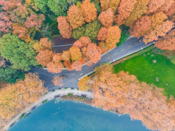 Hubei Wuhan East Lake Scenic Area Late Autumn Aerial Photography — Stock Photo, Image