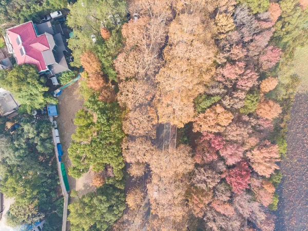 Hubei Wuhan East Lake Escenic Área Otoño Tardío Fotografía Aérea —  Fotos de Stock