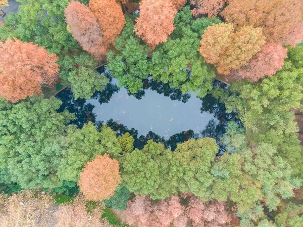 Хубэй Ухань Восточное Озеро Пейзаж Поздней Осени — стоковое фото