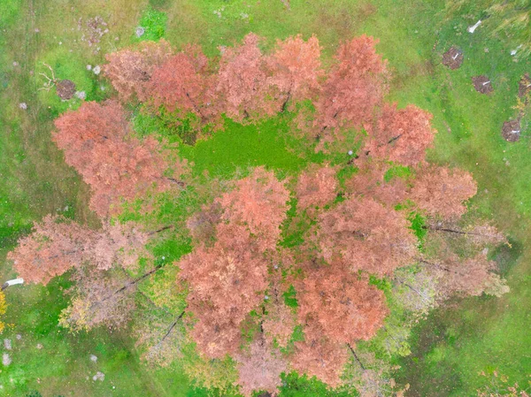 Hubei Wuhan East Lake Escenic Área Otoño Tardío Fotografía Aérea —  Fotos de Stock