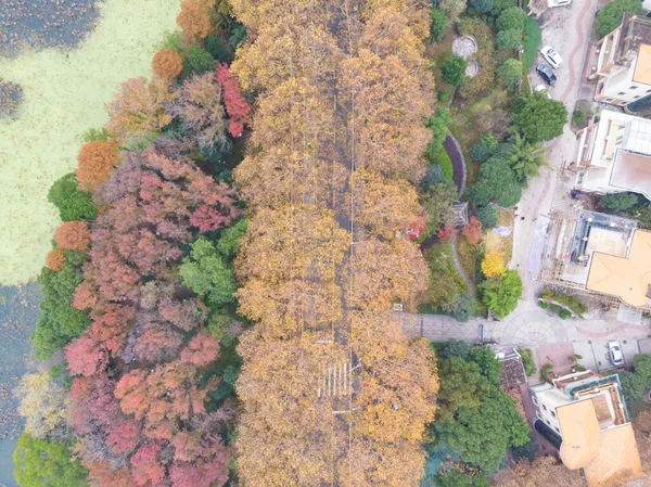 Hubei Wuhan East Lake Scenic Area Late Autumn Aerial Photography — 스톡 사진