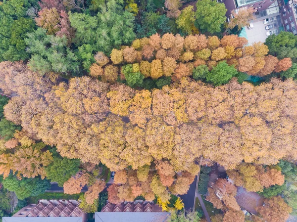 Hubei Wuhan East Lake Scenic Area Spätherbst Luftaufnahmen Landschaft — Stockfoto