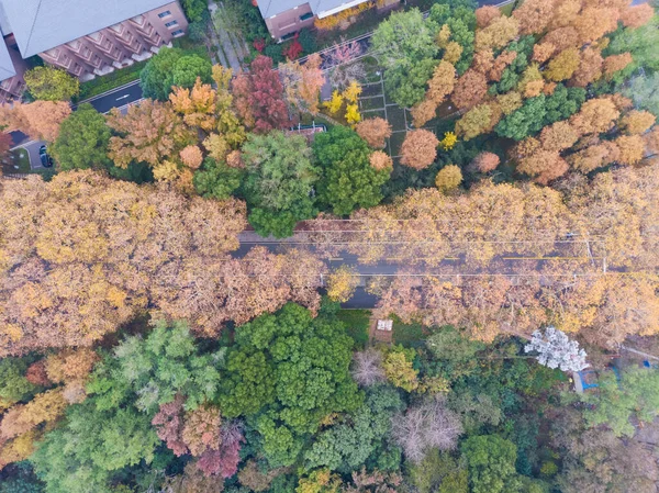 湖北武漢東湖風景区晩秋の空中写真風景 — ストック写真