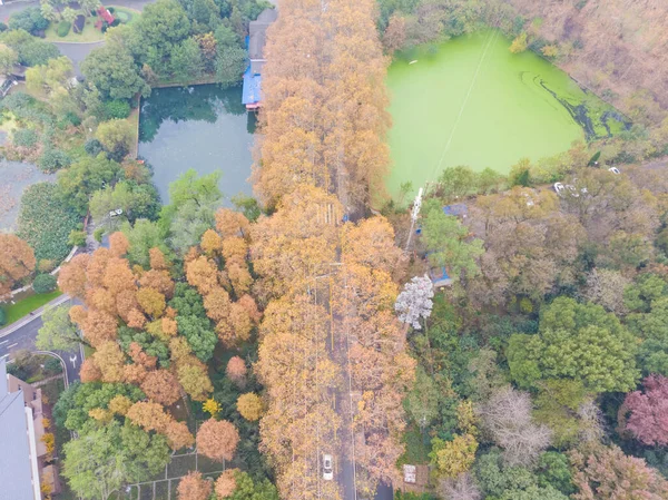 Hubei Wuhan East Lake Scenic Area Late Autumn Aerial Photography — 스톡 사진