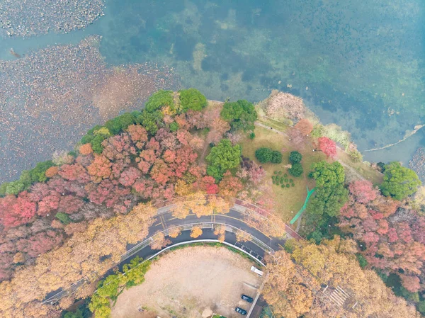 Hubei Wuhan East Lake Scenic Area Tarde Outono Fotografia Aérea — Fotografia de Stock