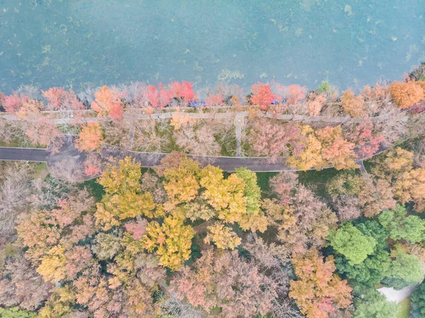 Hubei Wuhan East Lake Γραφική Περιοχή Τέλη Φθινοπώρου Εναέρια Φωτογραφία — Φωτογραφία Αρχείου