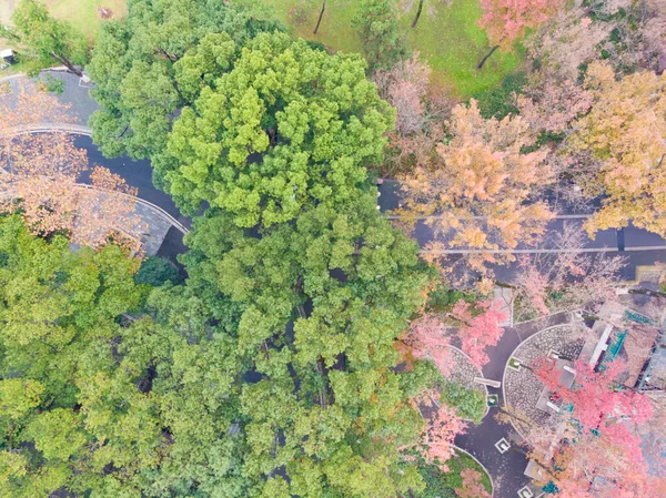 Hubei Wuhan East Lake Escenic Área Otoño Tardío Fotografía Aérea — Foto de Stock