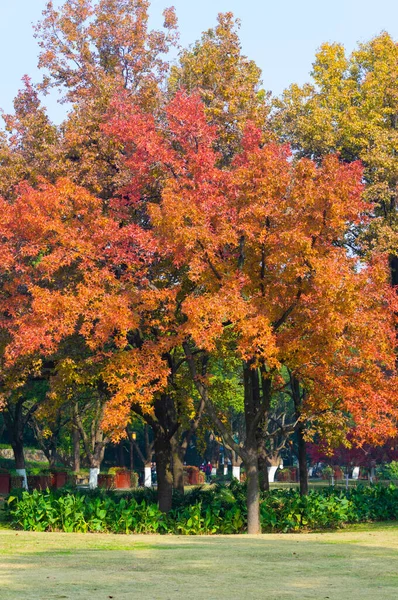 Hubei Wuhan East Lake Scenic Area Późna Jesień Fotografia Lotnicza — Zdjęcie stockowe