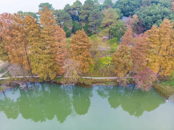 Hubei Wuhan East Lake Escenic Área Otoño Tardío Fotografía Aérea — Foto de Stock